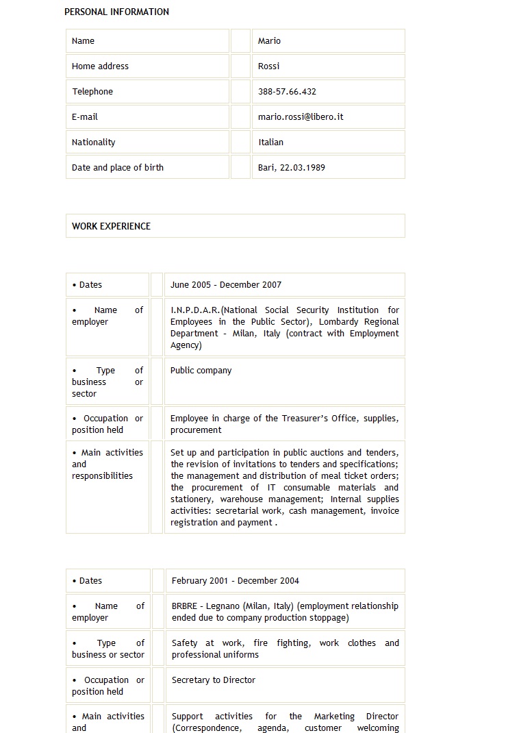 curriculum vitae in inglese modello da compilare