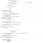 Modello CV europeo laureando