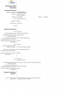 curriculum vitae formato europeo compilato architetto