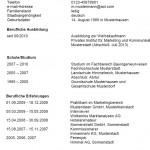 Curriculum vitae format image