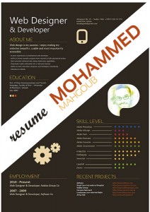 Esempio di cv infografico