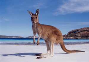 Permessi per trasferirsi in australia