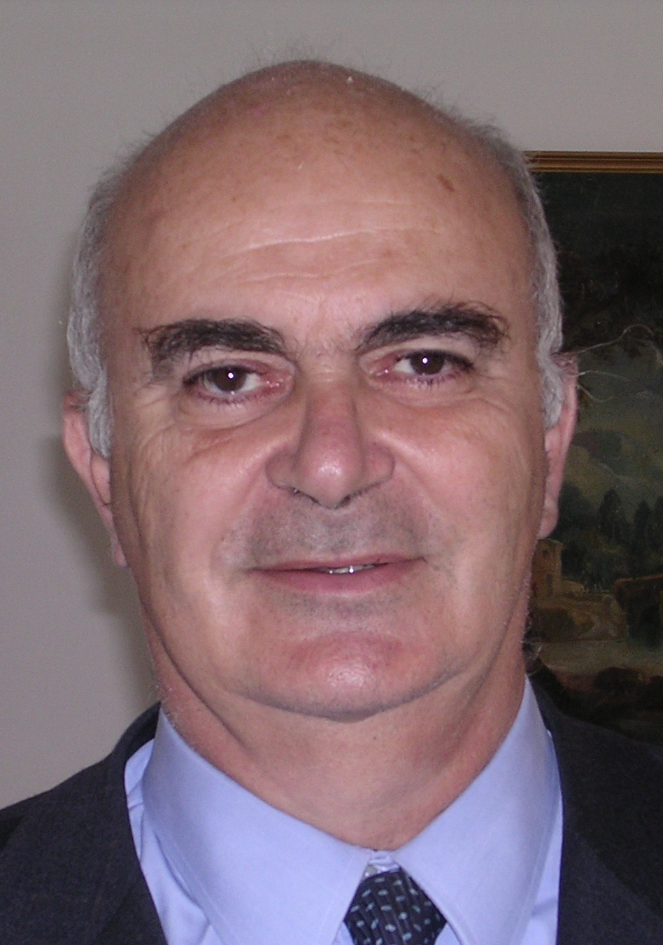 consulente modello curriculum