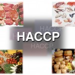 attestato per manipolare gli alimenti