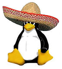 Pinguino con sombrero